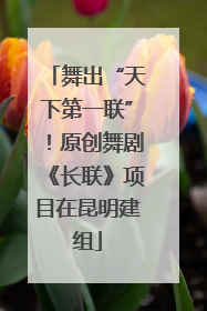 舞出“天下第一联”！原创舞剧《长联》项目在昆明建组