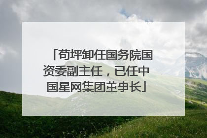 苟坪卸任国务院国资委副主任，已任中国星网集团董事长