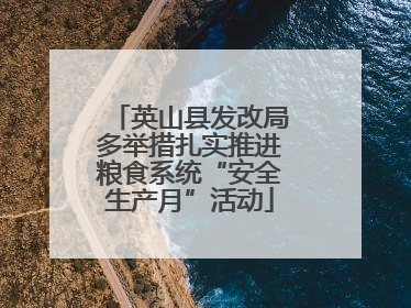 英山县发改局多举措扎实推进粮食系统“安全生产月”活动