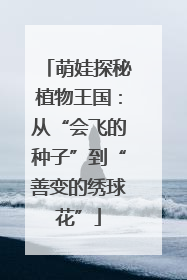萌娃探秘植物王国：从“会飞的种子”到“善变的绣球花”