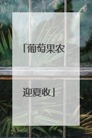 葡萄果农迎夏收