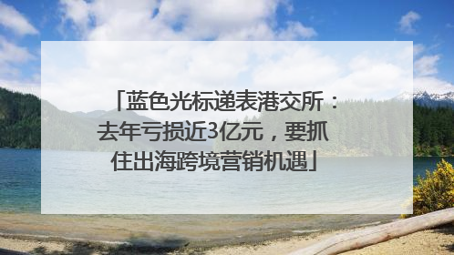 蓝色光标递表港交所：去年亏损近3亿元，要抓住出海跨境营销机遇