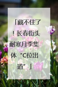 藏不住了！长春街头耐寒月季集体“C位出道”
