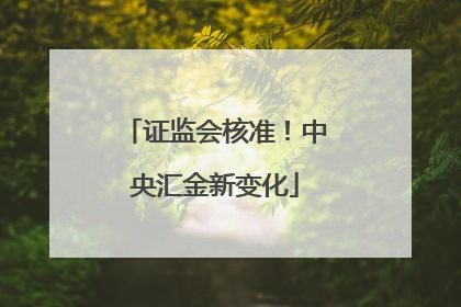 证监会核准！中央汇金新变化