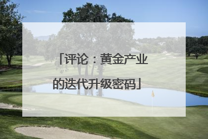 评论：黄金产业的迭代升级密码