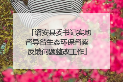 诏安县委书记实地督导省生态环保督察反馈问题整改工作