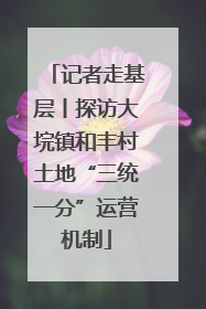 记者走基层丨探访大垸镇和丰村土地“三统一分”运营机制