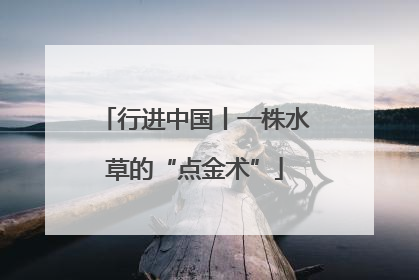 行进中国丨一株水草的“点金术”