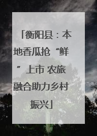 衡阳县：本地香瓜抢“鲜”上市 农旅融合助力乡村振兴