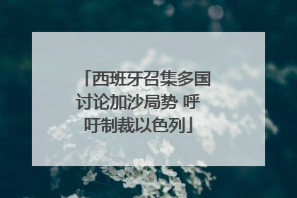 西班牙召集多国讨论加沙局势 呼吁制裁以色列