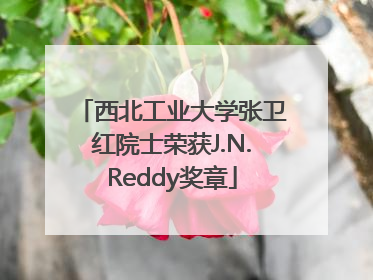 西北工业大学张卫红院士荣获J.N.Reddy奖章