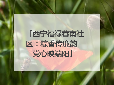 西宁福禄巷南社区：粽香传廉韵 党心映端阳
