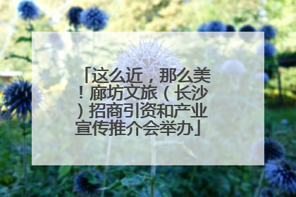 这么近，那么美！廊坊文旅（长沙）招商引资和产业宣传推介会举办
