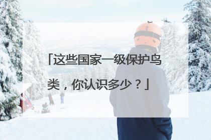 这些国家一级保护鸟类，你认识多少？
