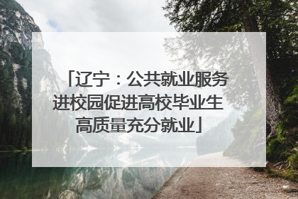 辽宁：公共就业服务进校园促进高校毕业生高质量充分就业