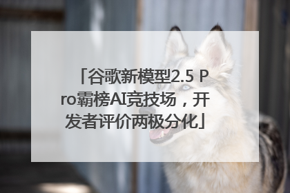 谷歌新模型2.5 Pro霸榜AI竞技场，开发者评价两极分化