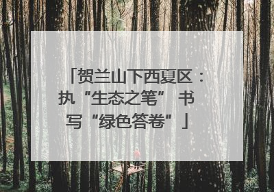 贺兰山下西夏区：执“生态之笔” 书写“绿色答卷”