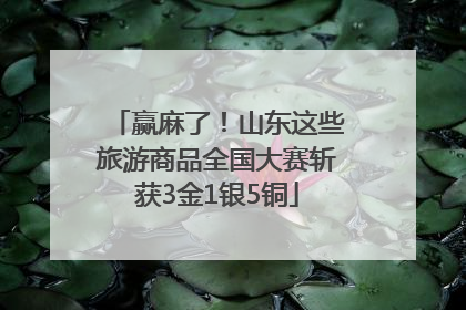 赢麻了！山东这些旅游商品全国大赛斩获3金1银5铜