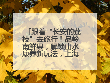 跟着“长安的荔枝”去旅行！品岭南鲜果，解锁山水康养新玩法，上海3小时直飞，自驾高速费优惠
