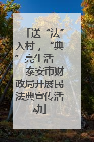 送“法”入村，“典”亮生活——泰安市财政局开展民法典宣传活动