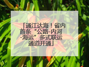 通江达海！省内首条“公路-内河-海运”多式联运通道开通