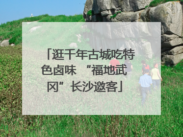 逛千年古城吃特色卤味 “福地武冈”长沙邀客