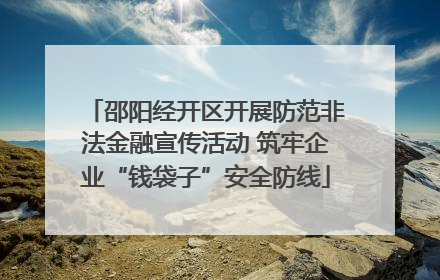 邵阳经开区开展防范非法金融宣传活动 筑牢企业“钱袋子”安全防线