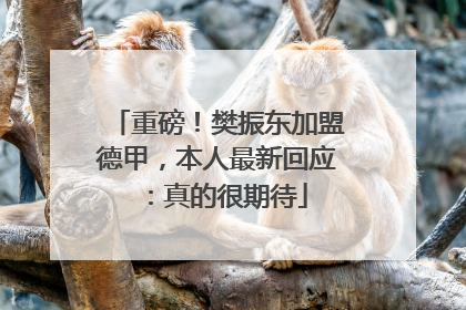 重磅！樊振东加盟德甲，本人最新回应：真的很期待