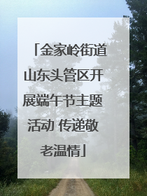 金家岭街道山东头管区开展端午节主题活动 传递敬老温情