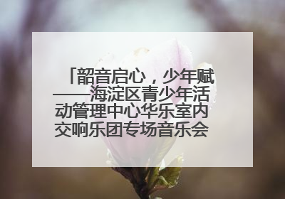 韶音启心，少年赋——海淀区青少年活动管理中心华乐室内交响乐团专场音乐会圆满举办