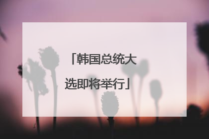 韩国总统大选即将举行