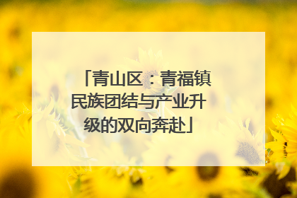 青山区：青福镇民族团结与产业升级的双向奔赴