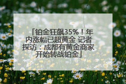 铂金狂飙35%！年内涨幅已超黄金 记者探访：成都有黄金商家开始转战铂金