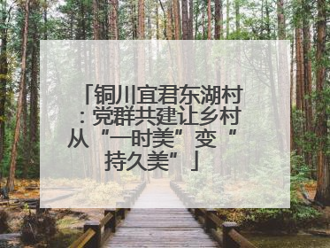 铜川宜君东湖村：党群共建让乡村从“一时美”变“持久美”
