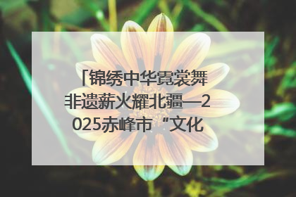 锦绣中华霓裳舞 非遗薪火耀北疆—2025赤峰市“文化和自然遗产日”非遗宣传展示活动纪实