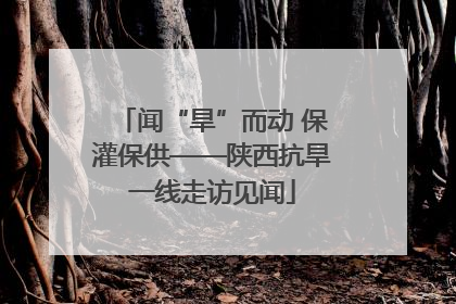 闻“旱”而动 保灌保供——陕西抗旱一线走访见闻