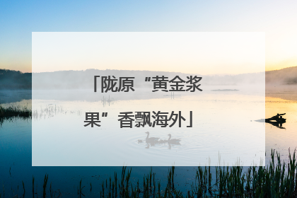 陇原“黄金浆果”香飘海外