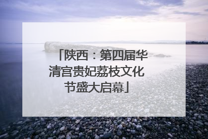 陕西：第四届华清宫贵妃荔枝文化节盛大启幕