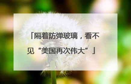 隔着防弹玻璃，看不见“美国再次伟大”