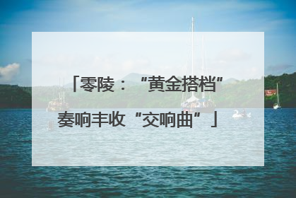 零陵：“黄金搭档”奏响丰收“交响曲”