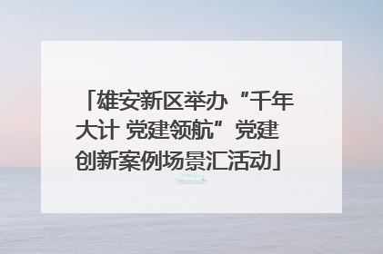 雄安新区举办“千年大计 党建领航”党建创新案例场景汇活动