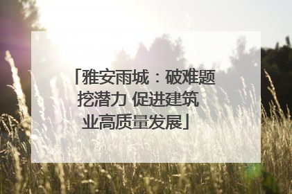 雅安雨城：破难题 挖潜力 促进建筑业高质量发展