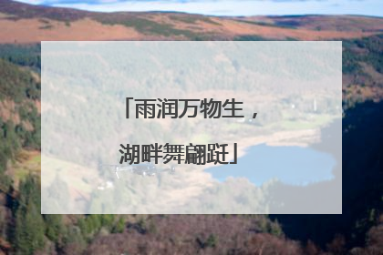 雨润万物生，湖畔舞翩跹