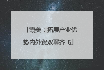 霞美：拓展产业优势内外贸双翼齐飞