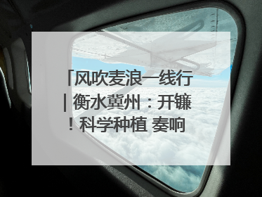 风吹麦浪一线行｜衡水冀州：开镰！科学种植 奏响丰收序曲