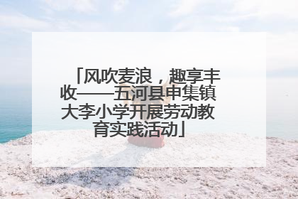 风吹麦浪，趣享丰收——五河县申集镇大李小学开展劳动教育实践活动