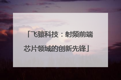 飞骧科技：射频前端芯片领域的创新先锋