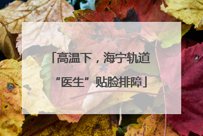 高温下，海宁轨道“医生”贴脸排障