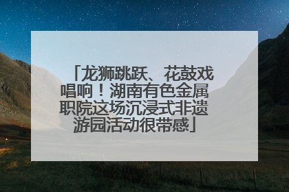 龙狮跳跃、花鼓戏唱响！湖南有色金属职院这场沉浸式非遗游园活动很带感