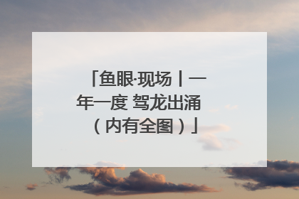 鱼眼·现场丨一年一度 驾龙出涌（内有全图）